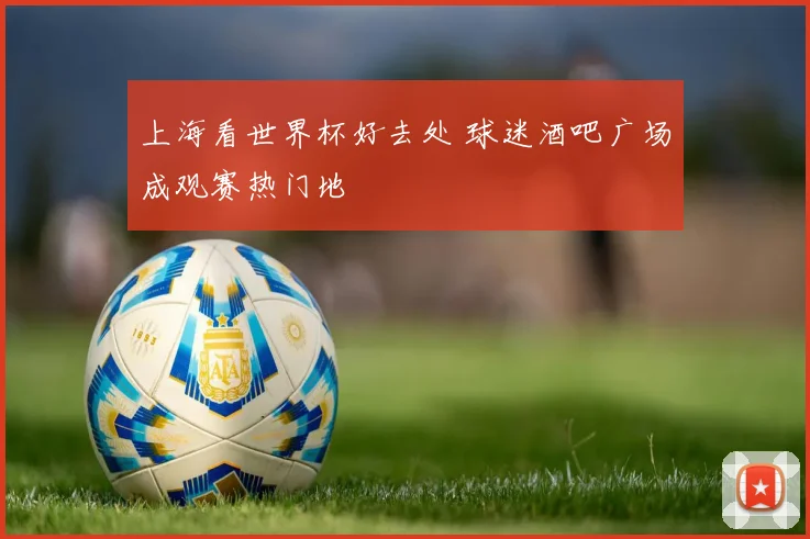 上海看世界杯好去处 球迷酒吧广场成观赛热门地