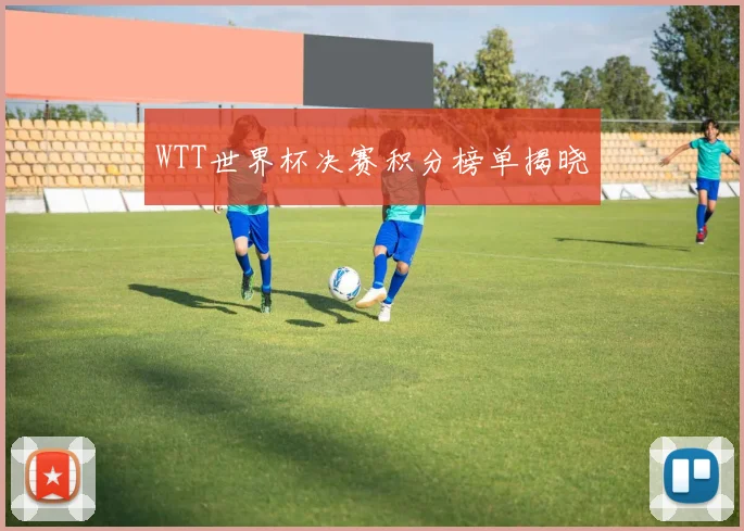 WTT世界杯决赛积分榜单揭晓