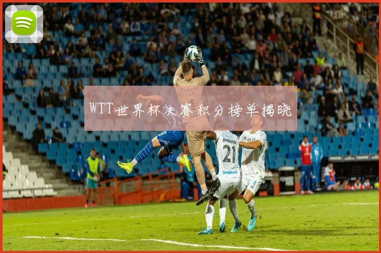 WTT世界杯决赛积分榜单揭晓