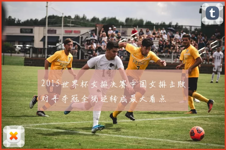 2015世界杯女排决赛中国女排击败对手夺冠全场逆转成最大看点