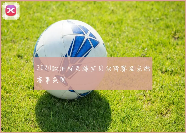 2020欧洲杯足球宝贝助阵赛场点燃赛事氛围
